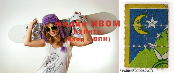 винт Надым