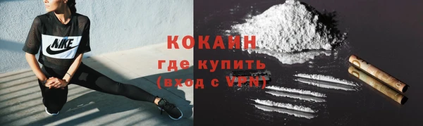гашик Наволоки