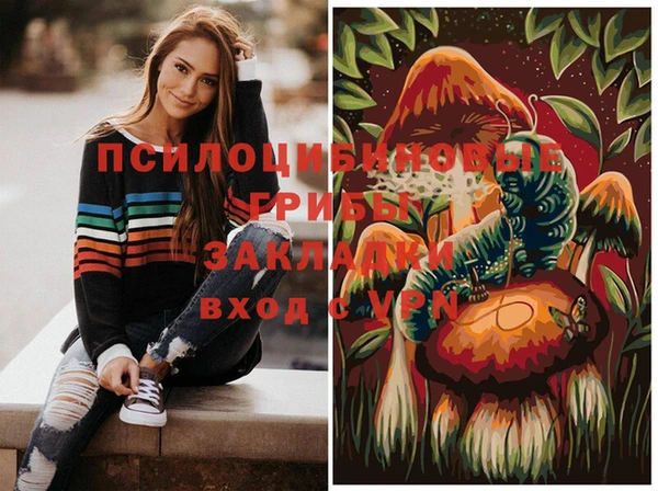 гашик Наволоки