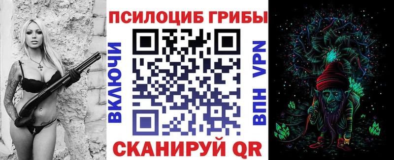 Галлюциногенные грибы Psilocybe  закладка  Аркадак 